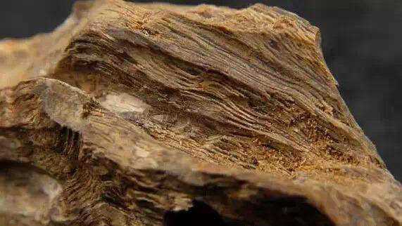 什么是沉香的“沉”与“香”？