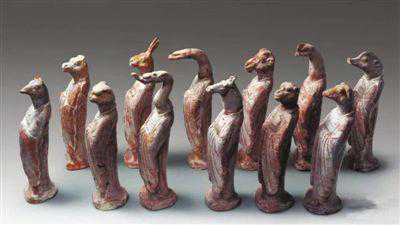 动物中的“活化石”