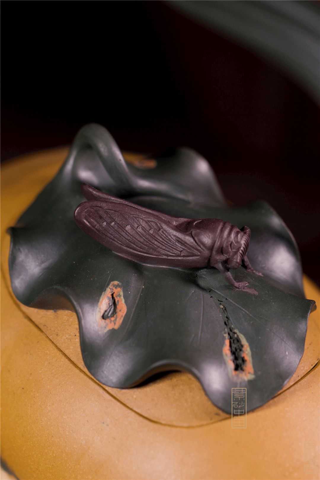 觀｜《蝉鸣果硕》储彩琴