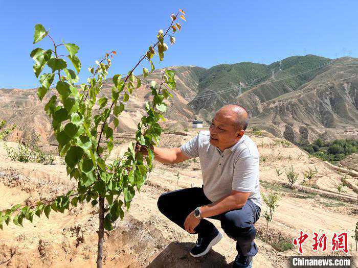 青海尖扎：村里架起“致富桥”村民日子富起来