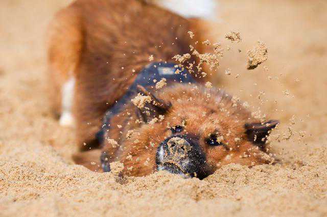 脑洞大开之：沙子的三十种玩法