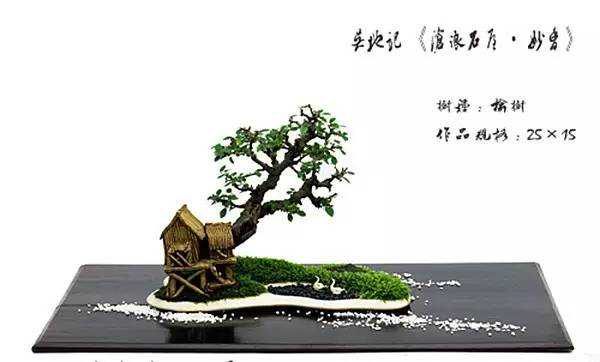 “槲寄生下必须接吻”？你应该知道的圣诞节植物文化