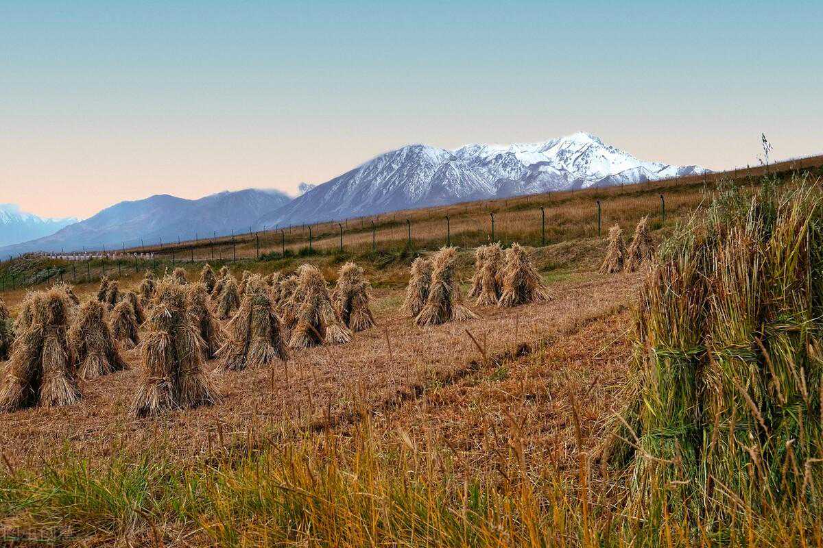 散文——《瓷 场》