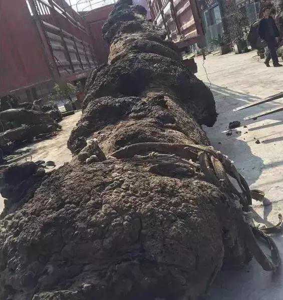 关于金丝楠阴沉木的讲解，十余年老玩家倾情详解