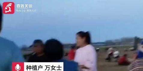 药材种植户遭百余人哄抢，警方喇叭呼喊驱散哄抢者