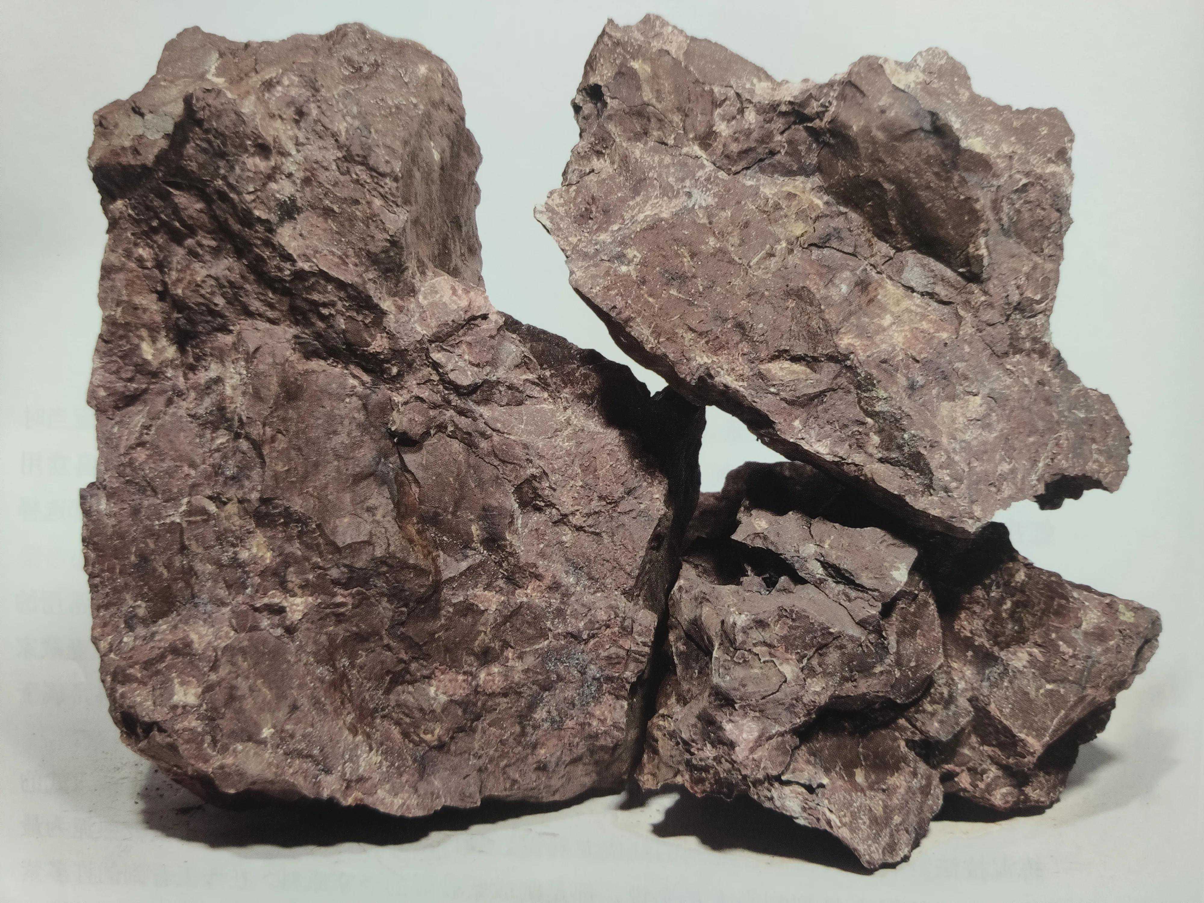 世人皆喜的红皮龙泥料