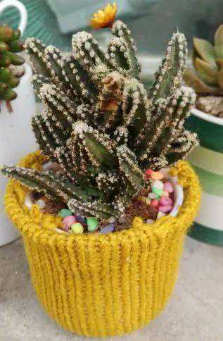 生命在传承中美丽，记忆在轮回中永存