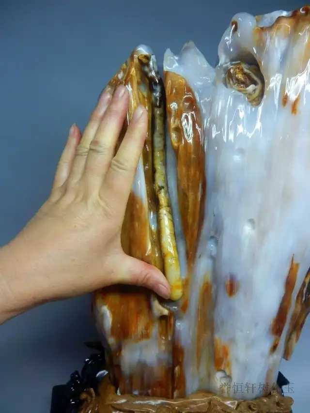 带虫树化玉的鉴赏及价值分析