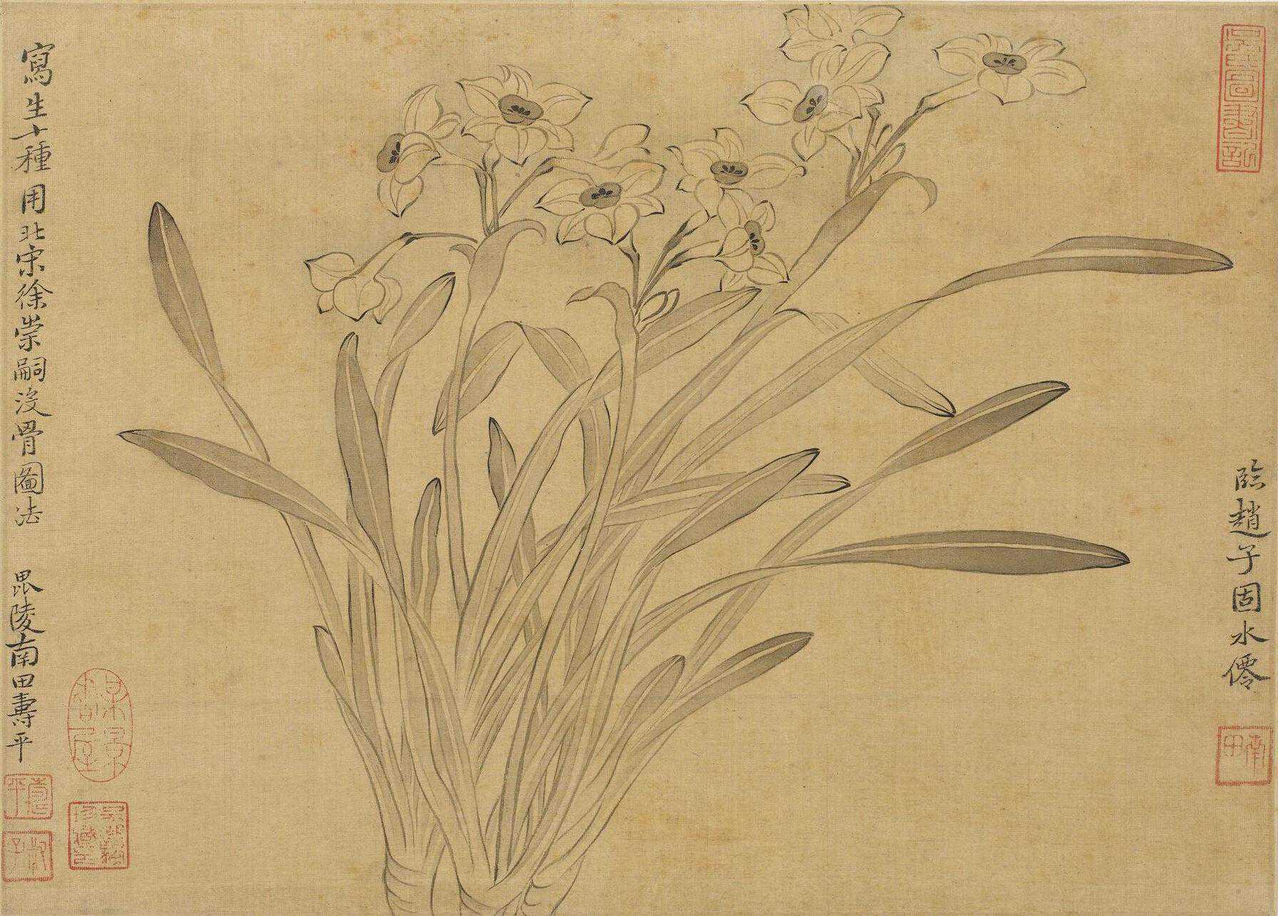 “作画贵在摄情”——恽寿平百幅没骨花鸟画雅赏