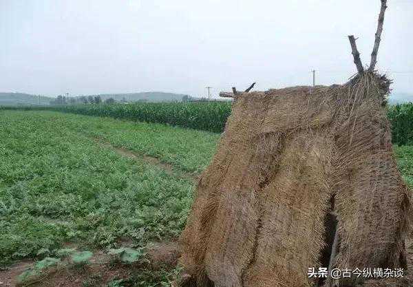 泌阳李保湾村王氏家族小传之一：居仁公迁泌