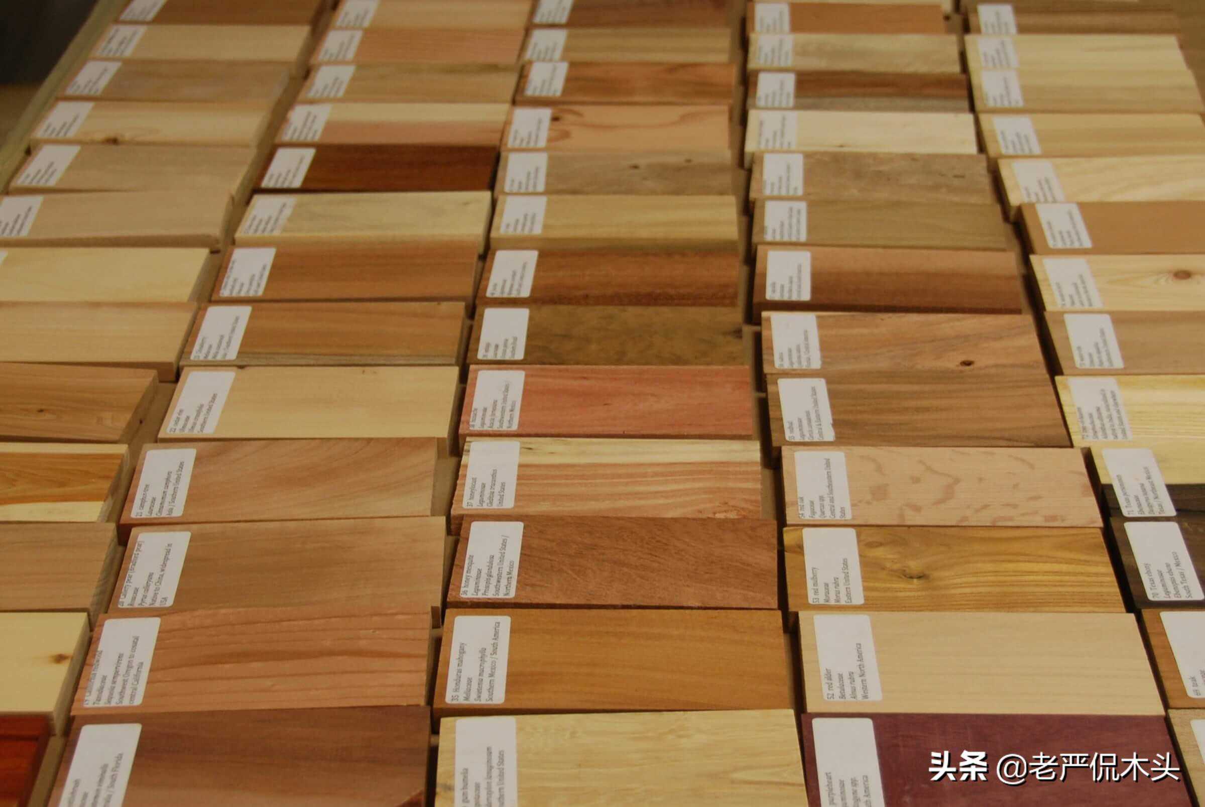 这些木材原来长这样