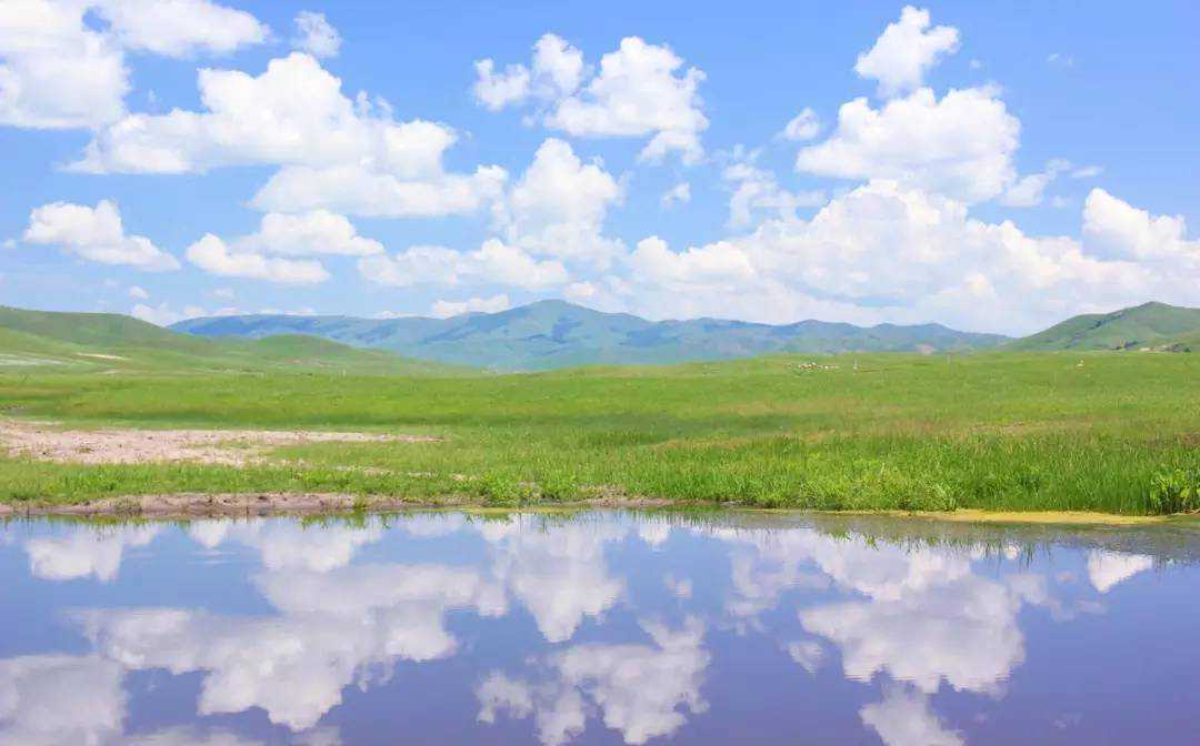 锡牛：距离1822公里，从锡林郭勒到上海的全牛宴