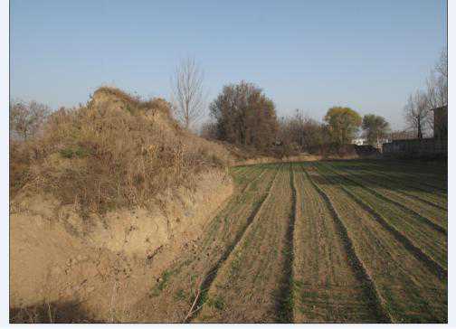 首次考古发掘出的桥足半釿布是怎么被发现的？