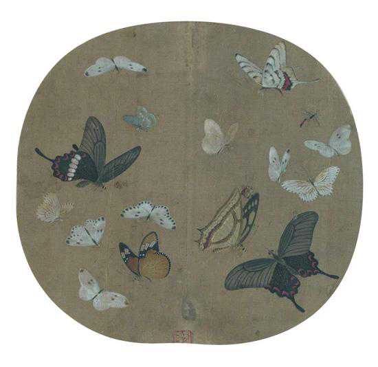 赏析丨宋代小品画：蛱蝶小品画