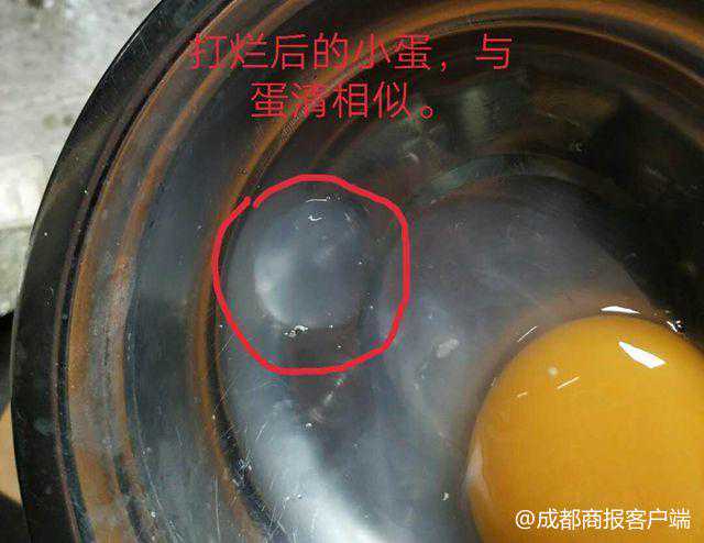 稀奇！鹅蛋中竟藏着一枚“蛋中蛋”，蛋壳绵软似乒乓球