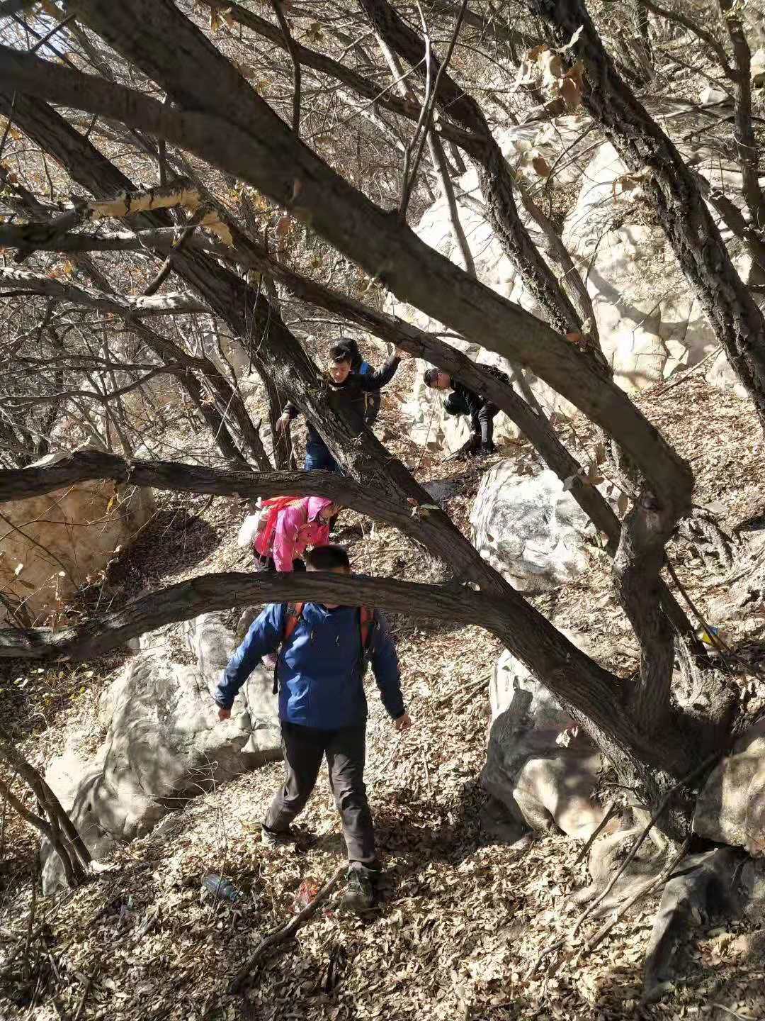 嵩山月亮坡穿越：群驴在花石大断崖上蜂拥下降（上）