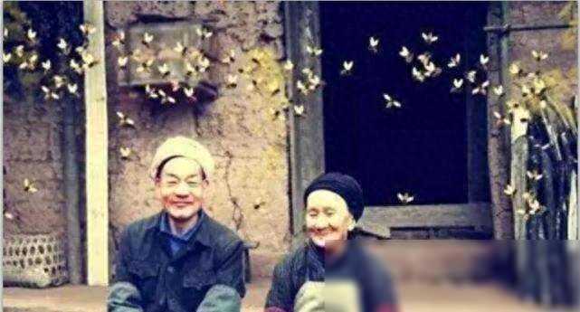 原创19岁青年与29岁寡妇私奔逃进深山，相爱50年后终于被人