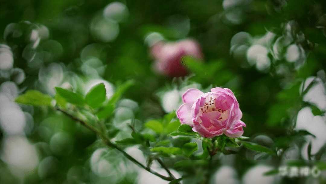 AA生活20年，婆婆住院老公让我出一半费用：啥都是你说了算