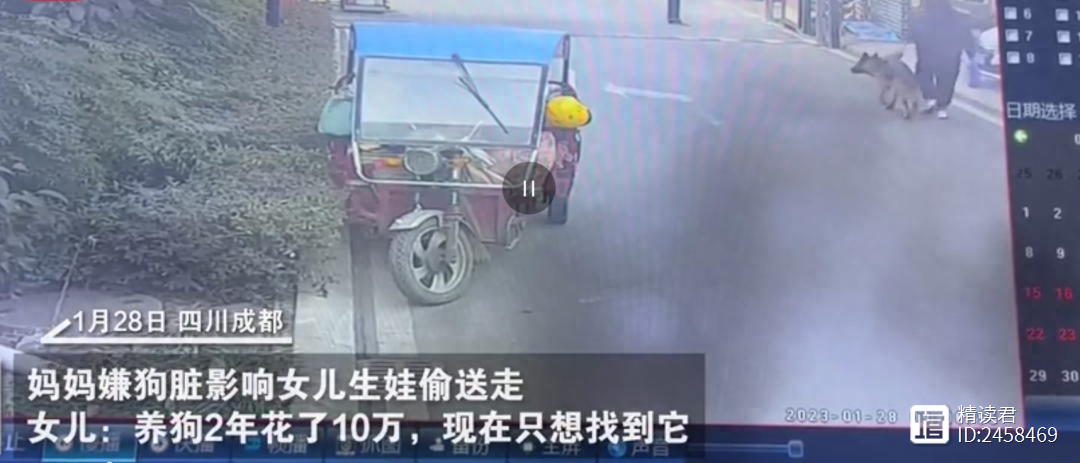 中国第一懒人，23岁懒死家中：控制欲过强的父母，才是孩子的灾难