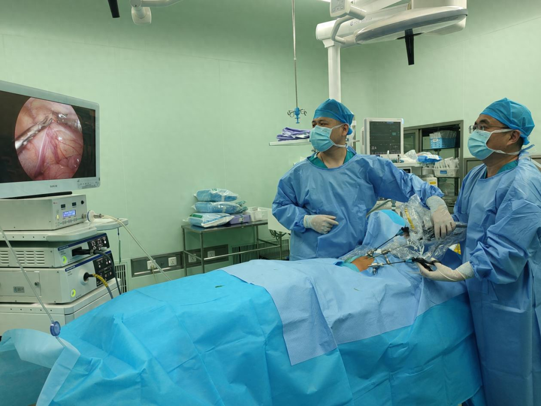 【一院技术】 济宁市第一人民医院实施腹腔镜下隐睾松解、固定术，为高位隐睾患儿解决“隐患”