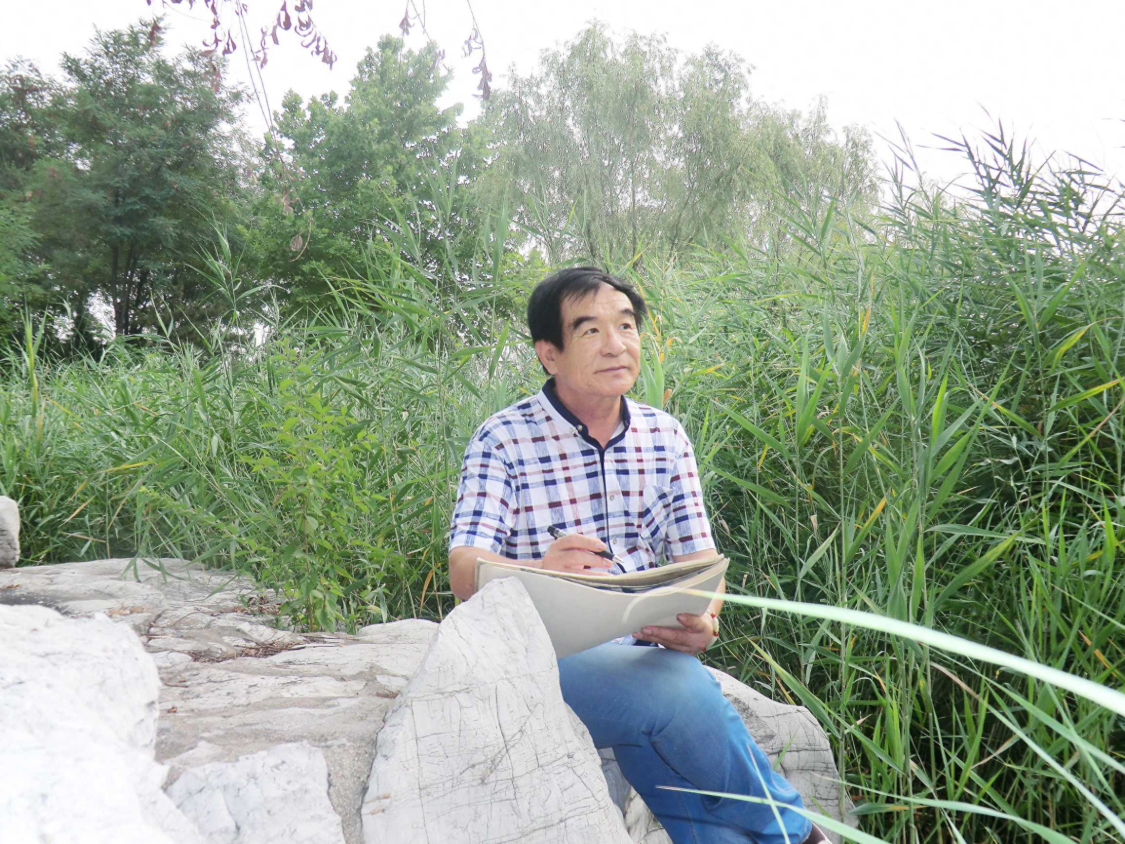 邱明功芦雁图欣赏