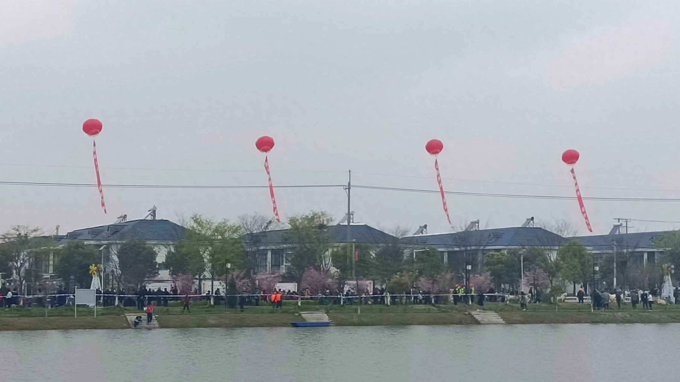 老科协大公分会在第十四届梨花节上作科普宣传