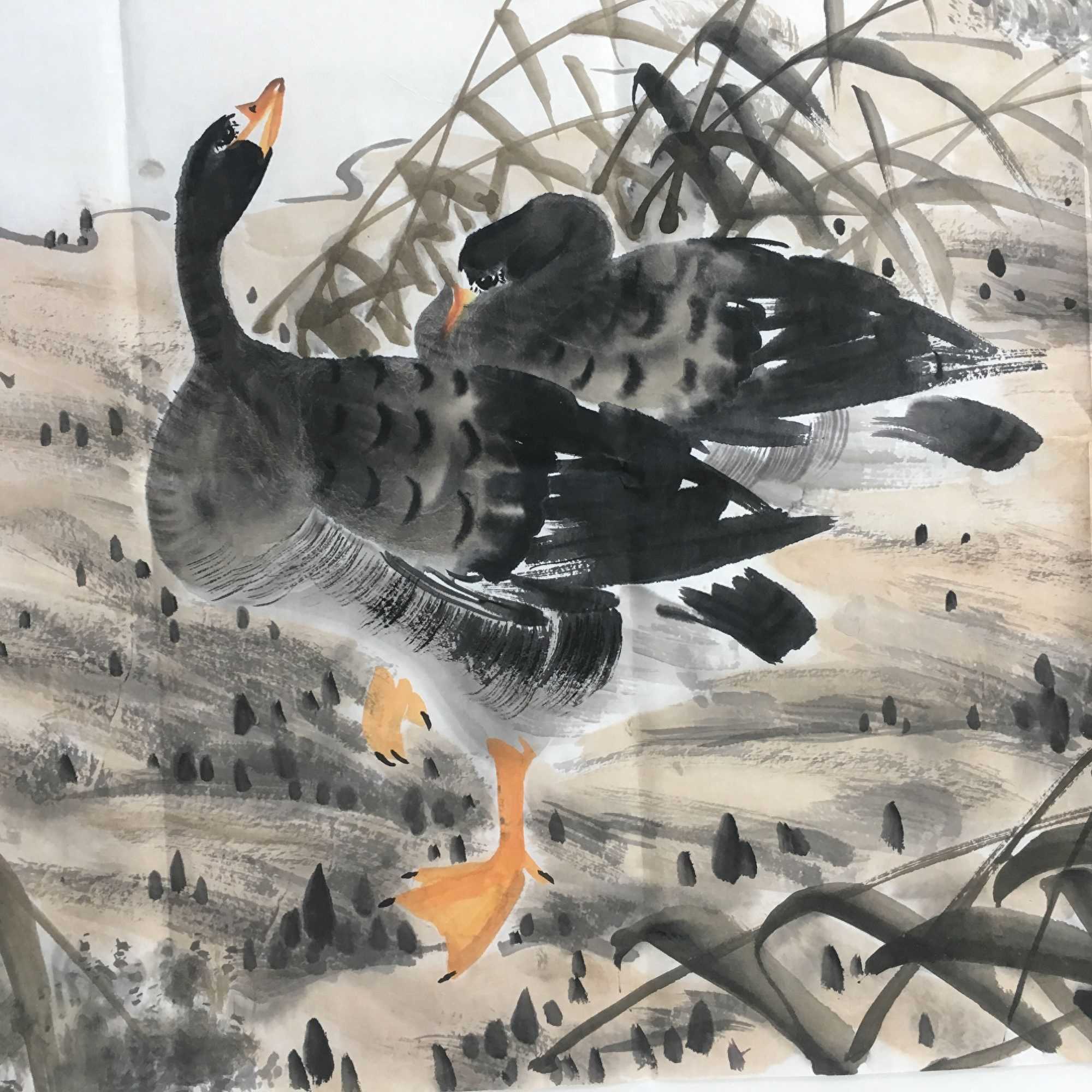 邱明功芦雁图欣赏