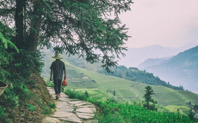 四个老姐妹结伴去看敬老院，吓出一身冷汗，回来闭口不谈