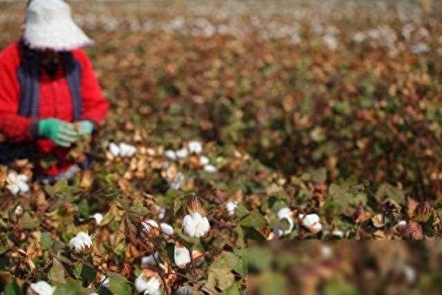 男人和女人私奔五年以后各自回归自己的家庭 村里人：等着看热闹