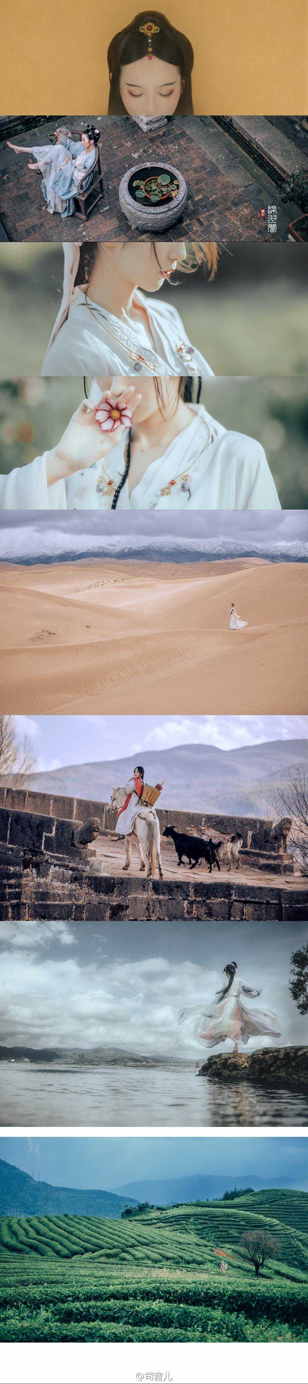 故事：吴汉生的酒被狐狸偷喝，没惩罚还成朋友，最终得到福报