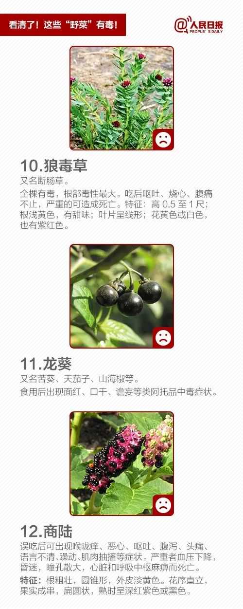 一家6口集体中毒！这事警惕，警惕，再警惕！