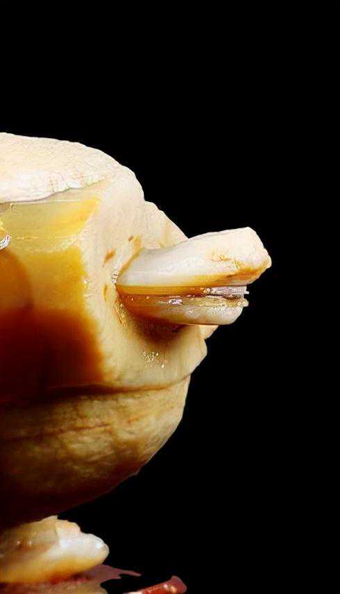 蛋白玛瑙《龟鹤齐寿》象形石