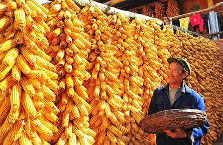 2023文博会精品玉石收藏展开幕，汇集全国200余家珠宝商