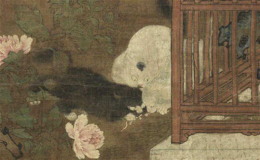 古代养猫得签买猫契？还得准备聘礼、下聘书！长知识了