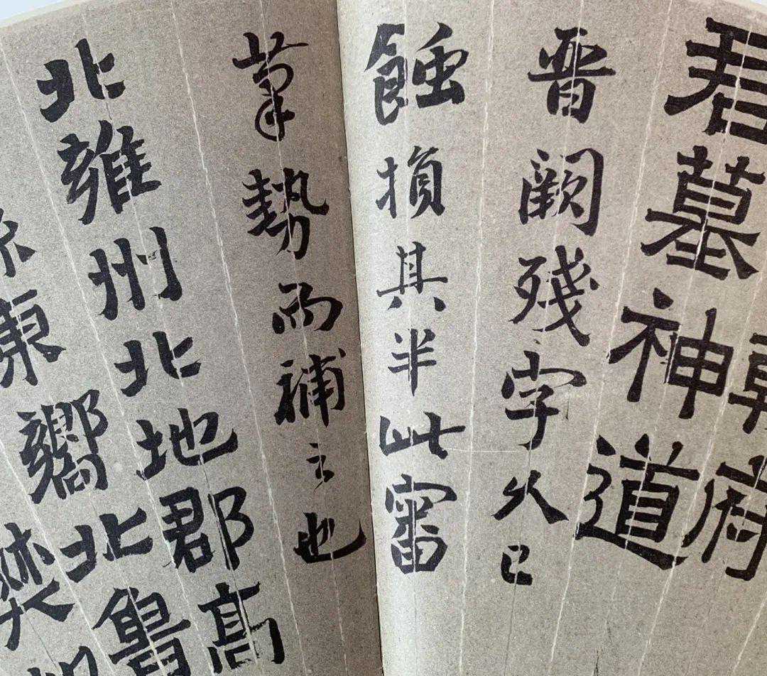 “花发南北枝：关山月、于希宁花鸟画艺术专题展”在深圳开展