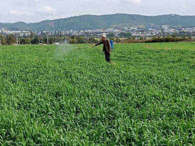 昌宁：干群追春赶农时