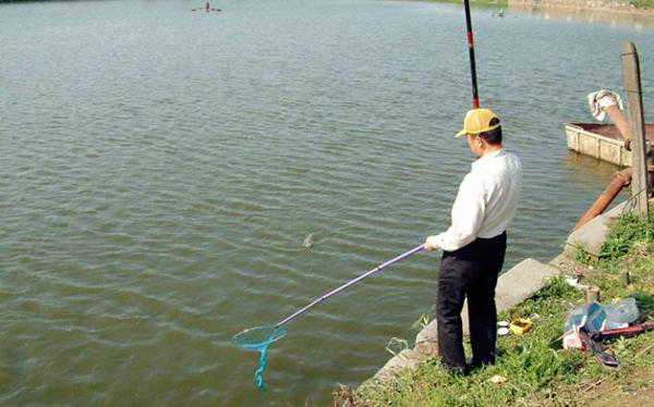 3月里，这2种草鱼饵窝太牛了！上鱼快到没话说，后悔以前没用过