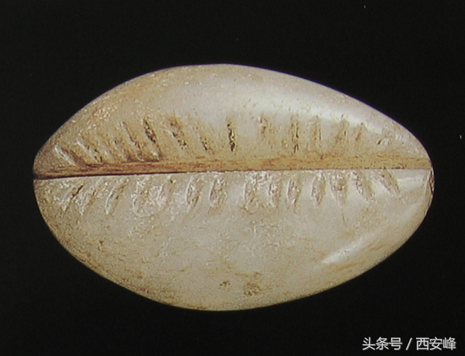 安徽省出土西汉“玉贝”看玉贝从钱币-到装饰品-再到殉葬品的演变