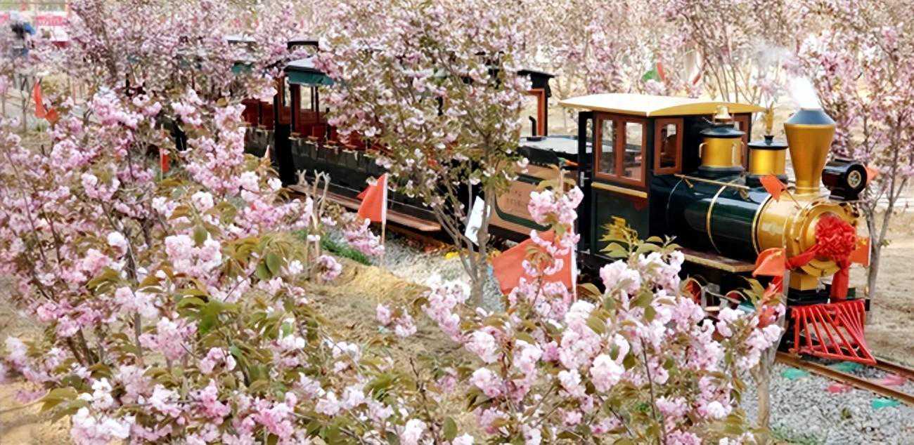 石家庄七条线路上榜！