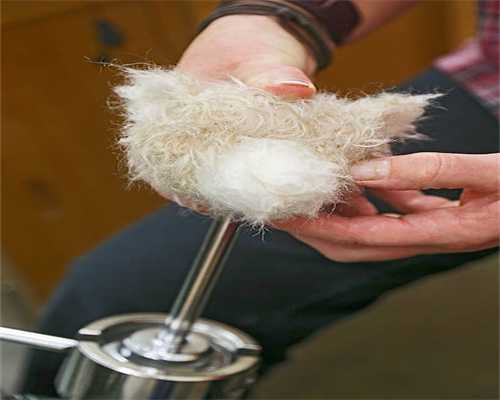 北宋突围战成功80周年，听亲历者后代回忆战斗故事……