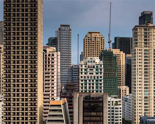 君子兰盆里埋把“它”，新叶蹭蹭长，开花不夹箭，花多又艳丽