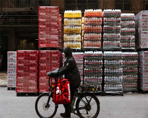 「关注」我市多个单位和个人在第45届世界技能大赛中作出突出贡献，受到省表扬奖励