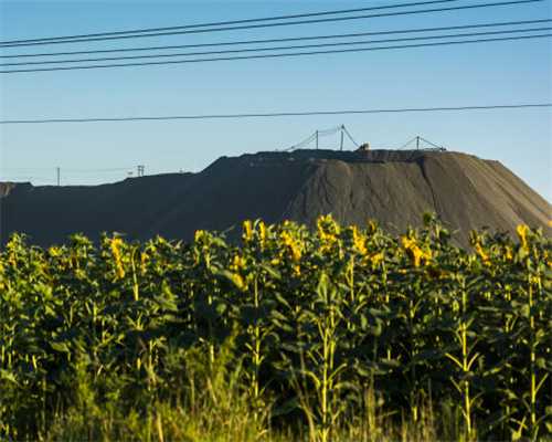 专访邓楠：人生没有如果，文化创业是我做过最正确的事情