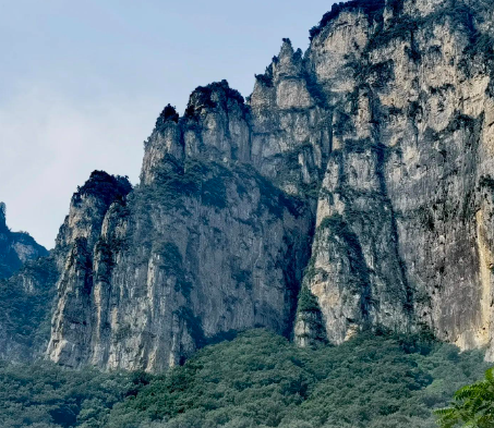 胎梦真的可以预测胎宝宝的性别？其实胎梦是这么用的